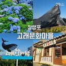 주식회사 수레와바퀴 | 울산여행 장생포고래문화마을 입장료 주차장 관람코스 총정리