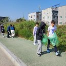 금포초등학교 이미지