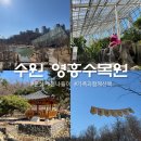 가족과함께 | 수원 가볼만한곳 영흥수목원 가족과함께 산책 후기