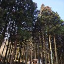 다원펜션 | [전남보성]꽃이 없어도 좋은 3월 국내여행지 전남보성 ; 보성녹차밭 대한다원