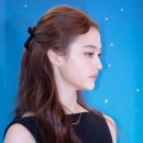 미야옹 이미지