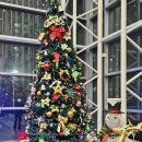 3.15아트 센터 앞 이미지