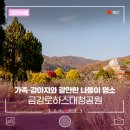 대청공원 공중화장실 | 대전 나들이 명소, 가족·강아지와 갈만한 곳 금강로하스대청공원