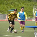 메디팜코리아 이미지