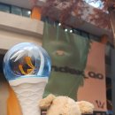 신남체육관 | [후기] 20251130 WOODZ PREVIEW CONCERT : index_00 in 잠실실내체육관