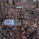 수산(자웅산) 이미지