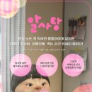 알사탕 이미지