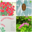 금낭화유치원 | 꽃마중 (feat. 나의 꽃사진)