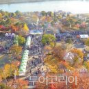 여행나루