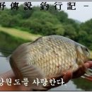 에스더블유(SW)마켓 이미지