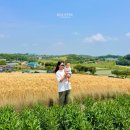 현광목장 | 충남 보령 가볼만한 곳 : 천북 청보리밭 6월 초여름에 아기랑 방문한 실시간 후기