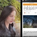 조현스토리 이미지