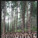 명품솜씨방