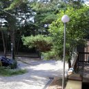 용봉산캠핑장 네이버블로그