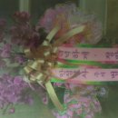 홍부용한식 이미지