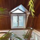 카페(cafe)나무 탄현점 | 춘천 브런치카페 포케맛집, 송암42 Cafe