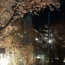 카페 마리 이미지