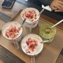 엔티인테리어 | 경주 성건동 카페 "동바 커피" | 애견동반 카페 고양이 느좋 카페 추천 내돈내산 솔직후기