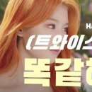 엘리야헤어 이미지