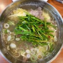 대도숯불갈비 | 거제도 갈비탕 맛집 끝판왕, 현지인만 아는 금농숯불갈비 솔직후기