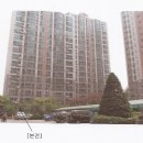 우남아파트 105동 이미지