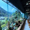 1097 | 충주 살미면 뷰 맛집 충주호 카페 CAFE1097 방문 후기