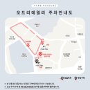 오드리헤어 이미지
