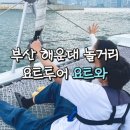 부산 해운대 요트투어 1인 9,900원에 이용하는 방법! 요트와 후기