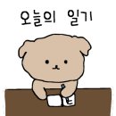 어서오시개냥 애견펜션 이미지