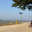 송계 | 무안 송계 송림숲 해변 캠핑 후기