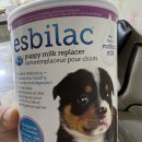 어미랑 | 강아지 분유 추천, 어미 젖성분과 동일한 펫에그 에스빌락 4.2kg 성견 급여 후기