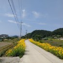 진동종합복지관 풋살경기장 이미지