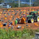 사포마을 이미지