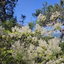 내면파출소 이미지