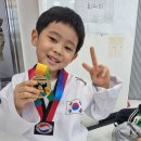 오로라 태권도장 이미지