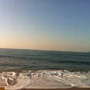 대변항3 이미지