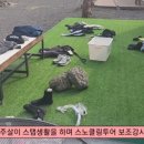 세화신발