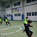 시티스포츠클럽 이미지