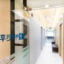 본이비인후과의원 네이버블로그