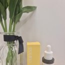 촉시 | 눈가 잡티가 고민이라면? 유노아 멜라블러 트라넥삼산 기미앰플로 멜라닌앰플 홈케어 시작한 솔직 후기