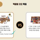 브레인사고력수학 이미지