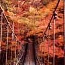 피아골(기산) 이미지