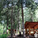 대운상대길 이미지