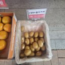 코스모스치과의원 | 사랑니를 뺐어요