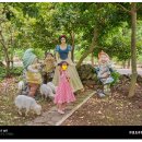 제주비체올린 | 6월 추천, 비체올린 테마파크 ㅣ 꽃 정원과 카약, 트라익이 어우러진 제주 인스타 맛집!