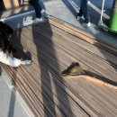 목공 인테리어 (야간) 이미지