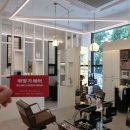 비땅기헤어 이미지