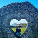 제주의휴일 이미지