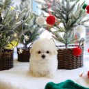 달링하이울산 이미지