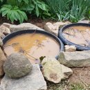 꼬마연못 이미지